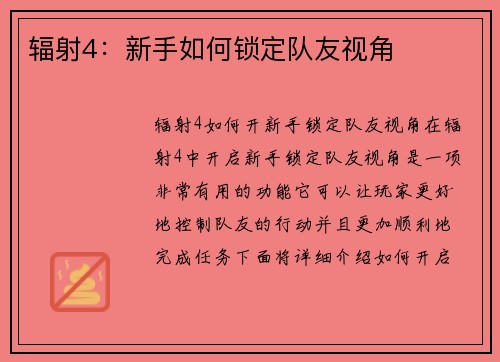 辐射4：新手如何锁定队友视角